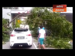 Pokok tumbang di Jalan Parlimen