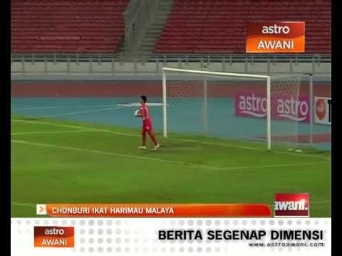 Chonburi ikat Harimau Malaya