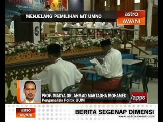 Menjelang pemilihan MT UMNO