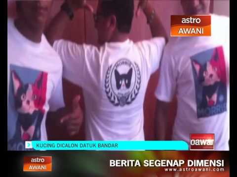 Kucing dicalon Datuk Bandar