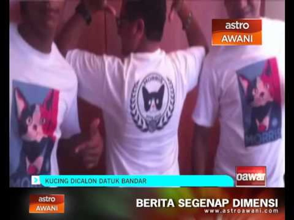 Kucing dicalon Datuk Bandar
