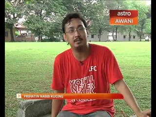 Prihatin nasib kucing