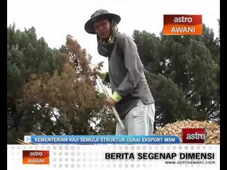Kementerian kaji semula strukutr cukai eksport MSM