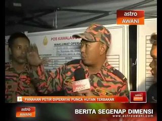 Panahan petir dipercayai punca hutan terbakar