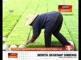 PAS minta kerajaan pusat pertimbang naik subsidi padi