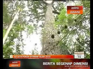 53 juta pokok itanam sejak 2010
