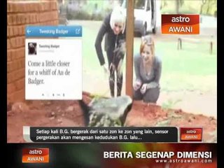 Haiwan pertama mampu kemaskini Tweet 'Live'