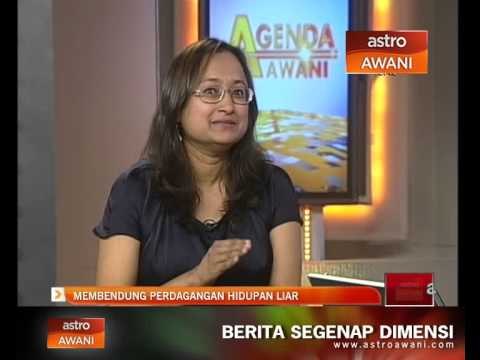 Agenda Awani: Membendung perdagangan hidupan liar
