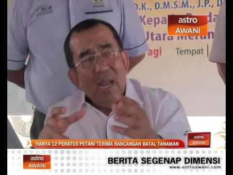 Hanya 12 peratus petani terima rancangan batal tanaman