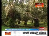 Permintaan produk sawit kekal kukuh