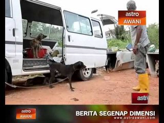 Pak Mie & isteri minta tempoh pengosongan dilanjutkan