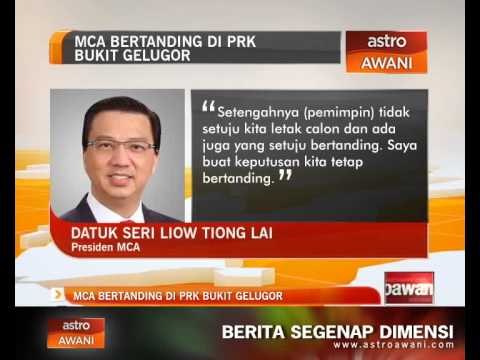 MCA bertanding di PRK Bukit Gelugor