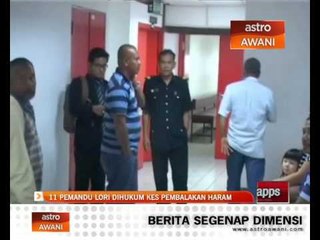 11 pemandu lori dihukum kes pembalakan haram