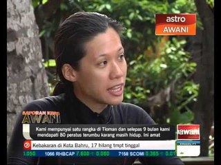 Usaha pemuliharaan terumbu karang