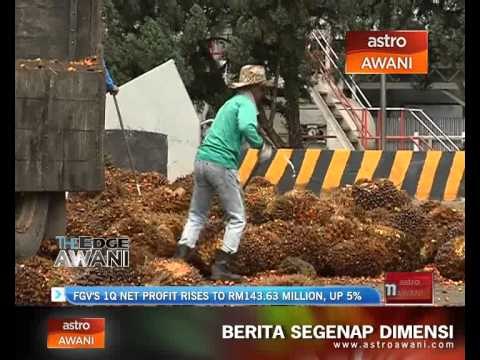 FGV's 1Q net profit rises to RM143.63 million, up 5%