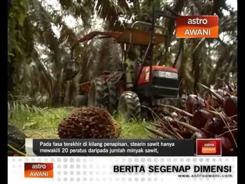 Sime Darby jangka permintaan untuk CSPO meningkat 25%
