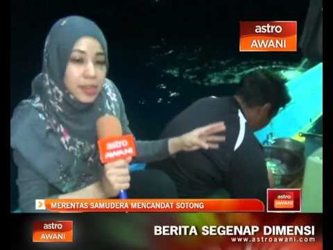 Merentas samudera mencandat sotong