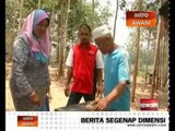 Perusahaan madu kelulut jana pendapatan