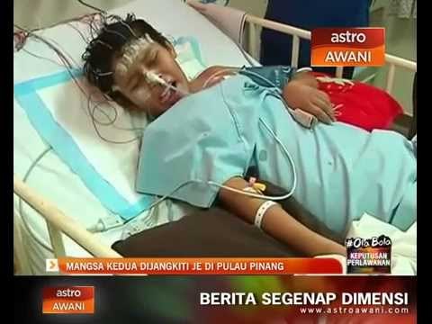 Mangsa kedua dijangkiti JE di Pulau Pinang
