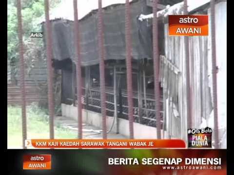 KKM kaji kaedah Sarawak tangani wabak JE