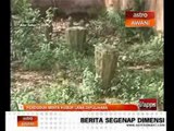 Penduduk minta kubur lama dipulihara