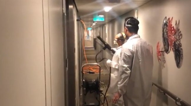 Hallways on Board Royal Caribbean Cruise Sprayed Down After Gastro Outbreak