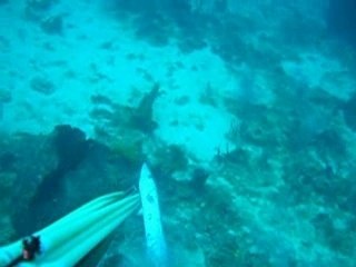 Martinique Sud Atlantique novembre 2007