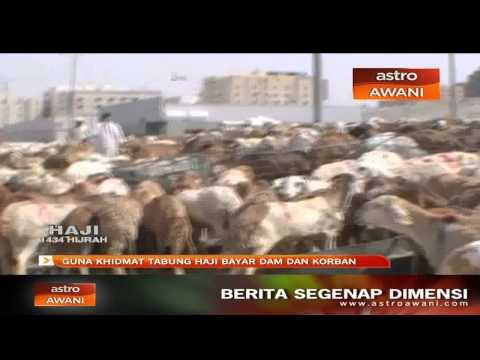Guna khidmat Tabung Haji bayar dam dan korban