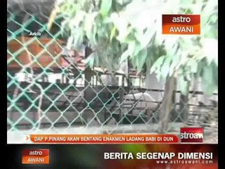 DAP Pulau Pinang akan bentang enakmen ladang babi di DUN