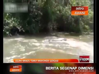 Lelaki Brazil temui anakonda gergasi