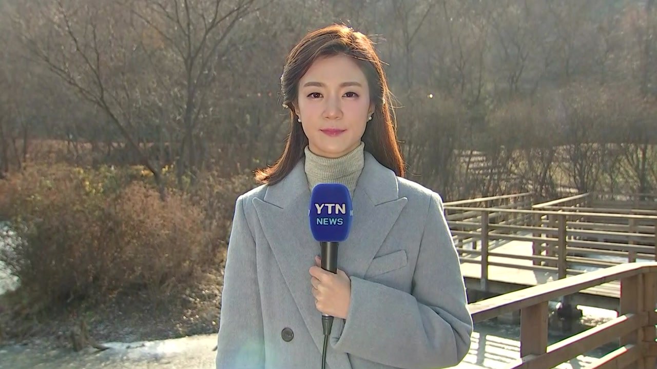[날씨] 낮 동안 추위 누그러져...퇴근길 중부 비·눈 / YTN