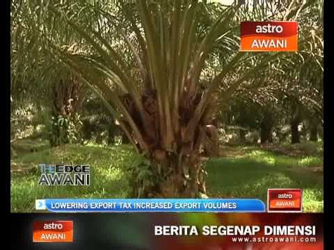 Lowering export taxes has resulted in increase export volumes