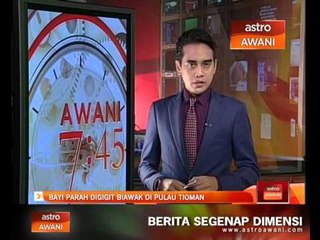 Bayi parah digigit biawak di Pulau Tioman
