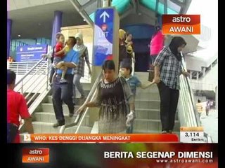 Download Video: WHO: Kes denggi dijangka meningkat