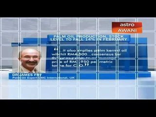 Palm oil production, stock level to fall 14% in Feb