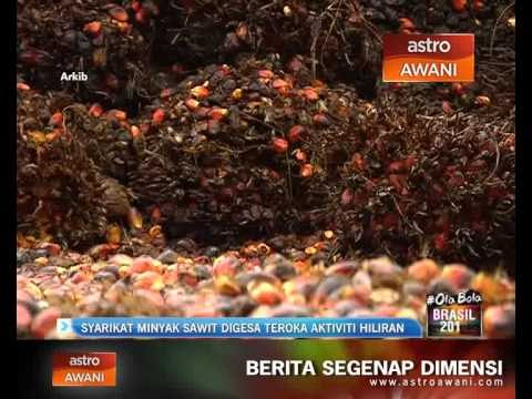 Syarikat minyak sawit digesa teroka aktiviti hiliran