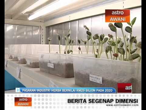 Pasaran industri herba bernilai RM 29 bilion pada 2020