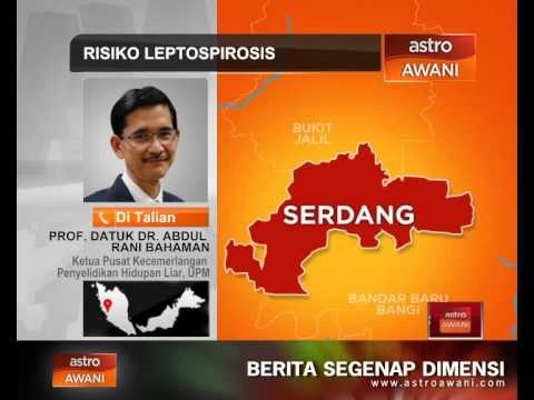 Risiko Leptospirosis