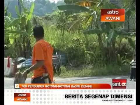 700 penduduk gotong-royong basmi denggi