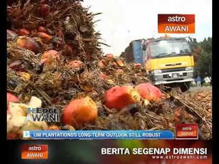 IJM Plantations's long-term outlook still robust