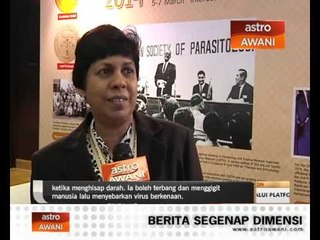 Denggi hanya menular di kalangan manusia