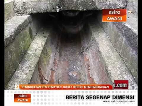 Peningkatan kes kematian akibat denggi membimbangkan