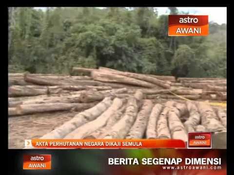 Akta perhutanan negara dikaji semula