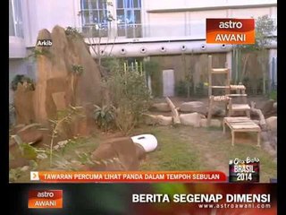 Tawaran lihat panda percuma selama sebulan