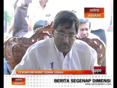 19 kematian akibat demam denggi