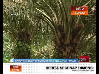 Harga MSM lebih tinggi berikutan kelemahan ringgit