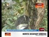 Industri getah dijangka kekal berdaya tahan 2014