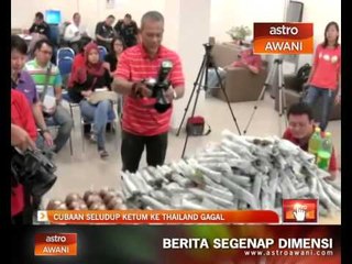 Download Video: Cubaan seludup ketum ke Thailand gagal