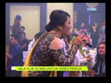 Amelina selesa 'Rindu' diperbaharui