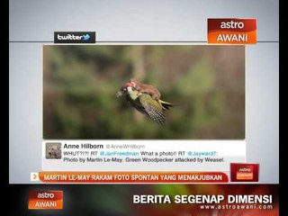 Martin Le-May rakam foto spontan yang menakjubkan